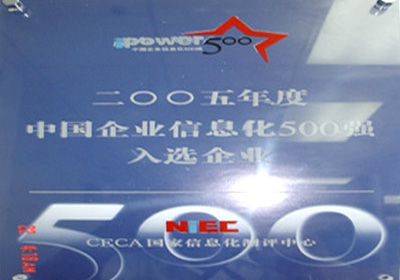 2005年度中国企业信息化500强